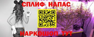 сатива Комсомольск-на-Амуре