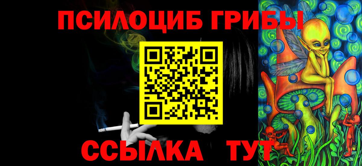 Галлюциногенные грибы ЛСД  Вход с VPN  что такое   Кольчугино  Псилоцибиновые грибы Psilocybe 